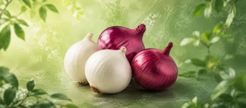 پیاز (نیم کیلو)